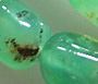 Chrysoprase 